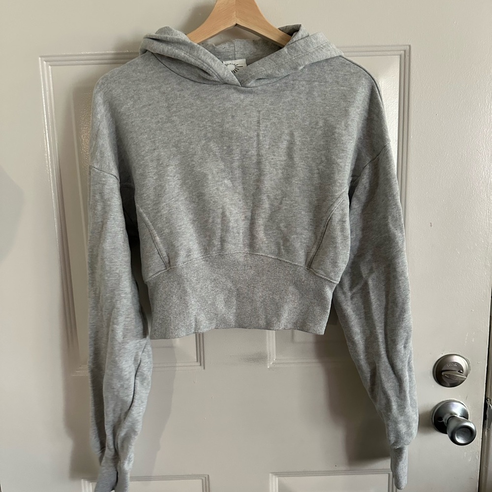 Aerie Cropped Hoodie